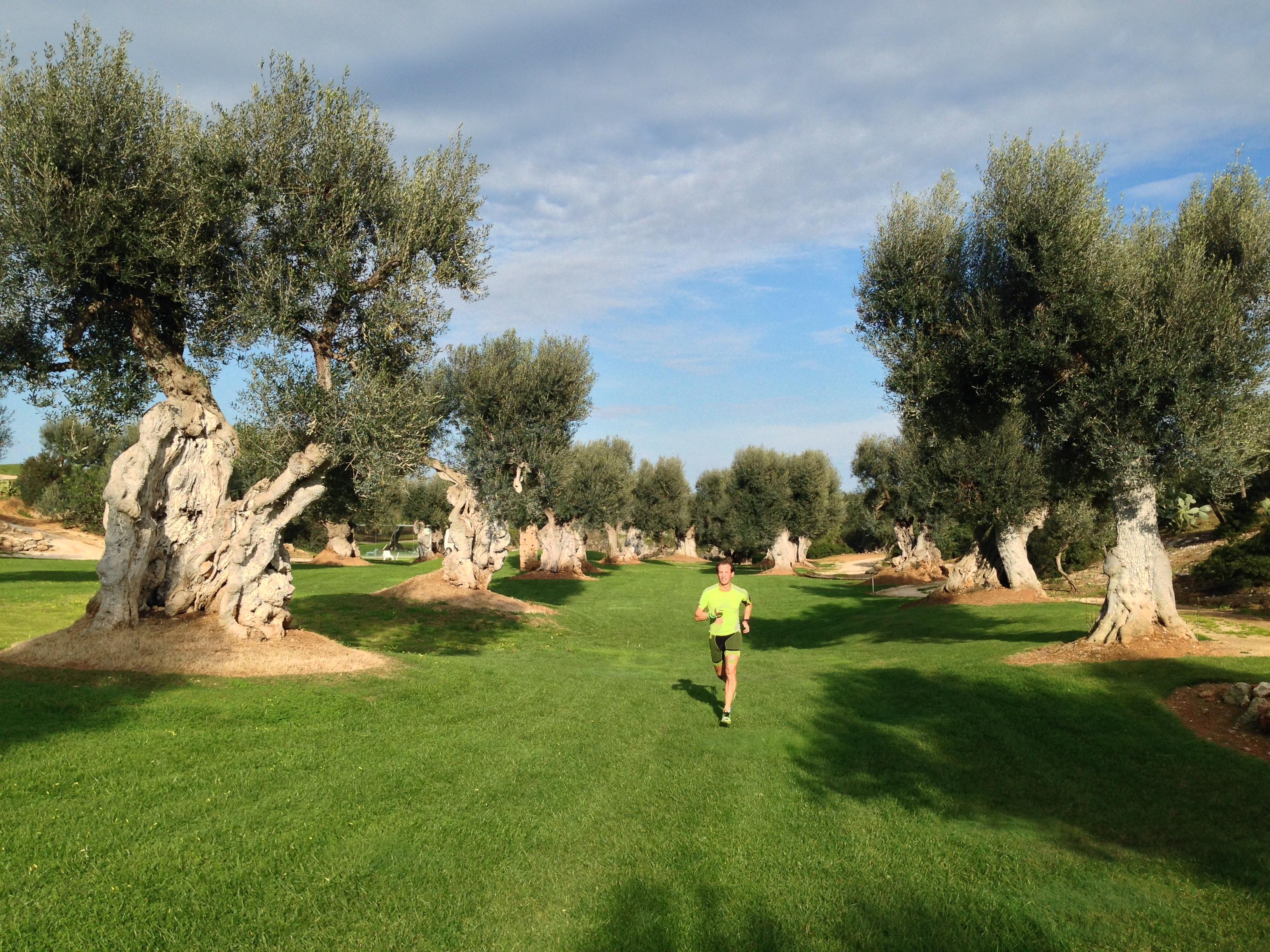 Rocco Forte Masseria Torre Maizza Savelletri Εξωτερικό φωτογραφία