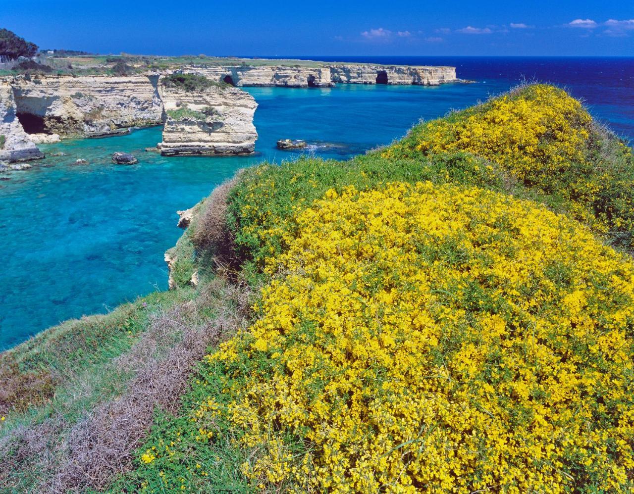 Rocco Forte Masseria Torre Maizza Savelletri Εξωτερικό φωτογραφία